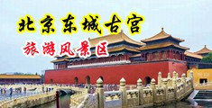 大鸡巴抽插过程中国北京-东城古宫旅游风景区